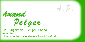 amand pelger business card